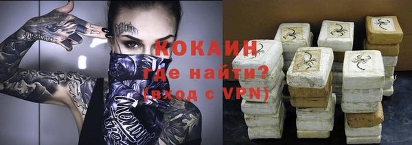 гидра Заводоуковск