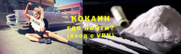 гидра Заводоуковск
