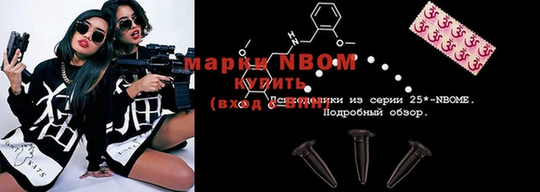 гидра Заводоуковск