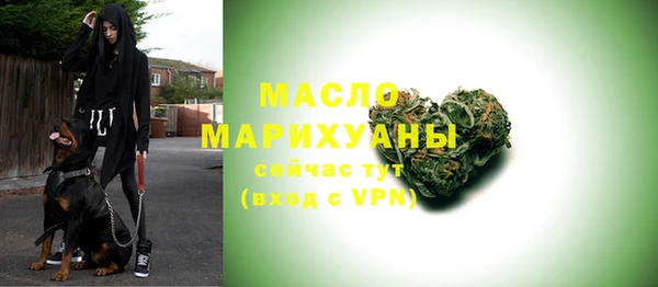 гидра Заводоуковск