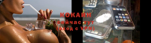 гидра Заводоуковск