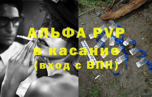 гидра Заводоуковск