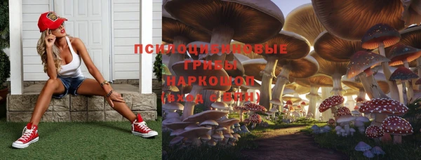 spice Заволжье