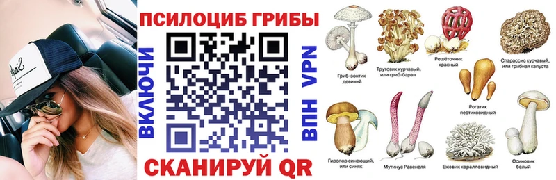 что такое наркотик  Щёлково  Галлюциногенные грибы Magic Shrooms 